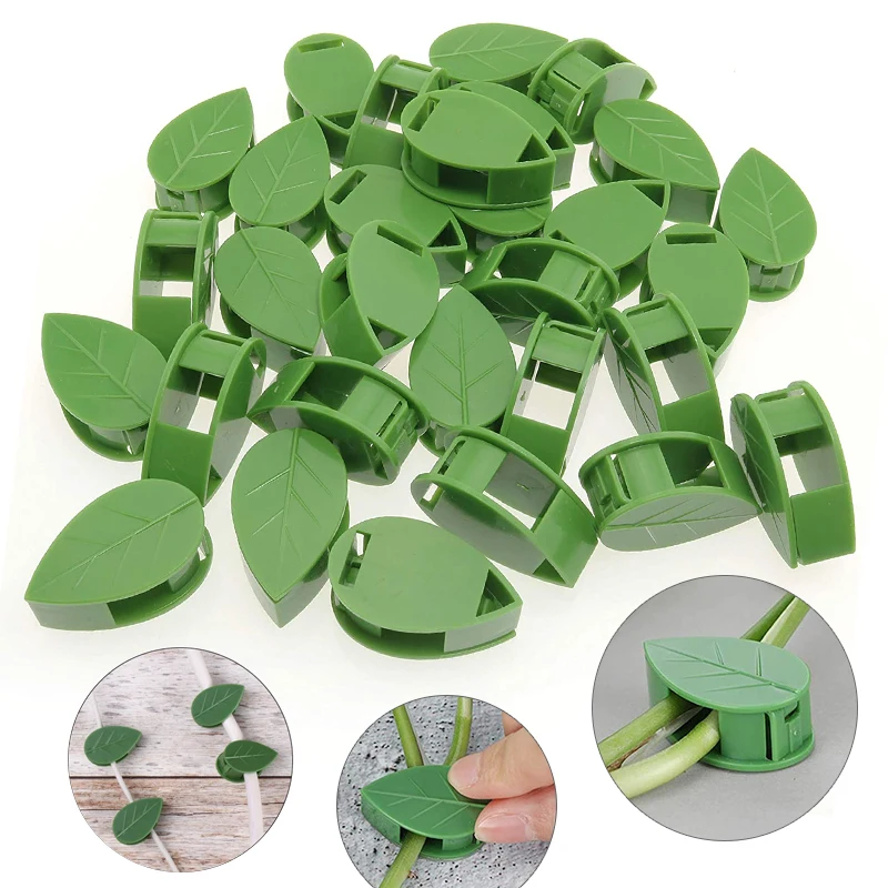 1-50Pcs invisible plant wall c - Vine Climbing Plastic 리뷰 및 가격