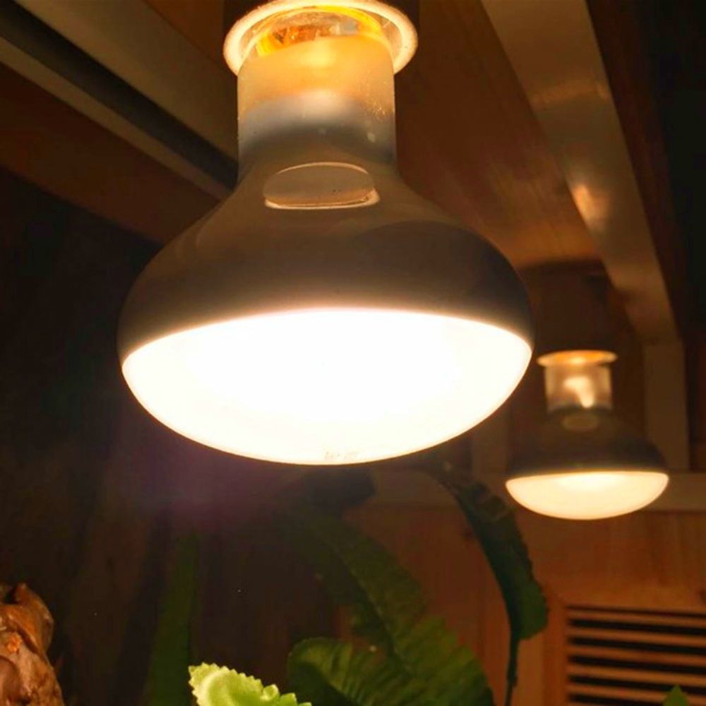 Lizard Heater Temperature Cont - Basking Bulb Halogen 리뷰 및 가격
