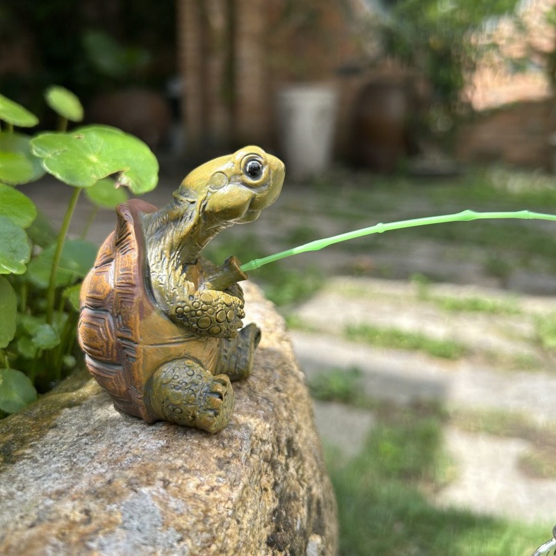 Turtle fishing fish tank aquar - Water Dish Reptile 리뷰 및 가격
