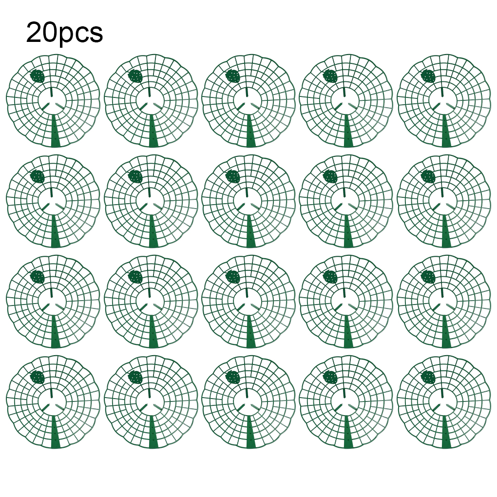 20PCS Strawberry Stand Green C - Vine Climbing Plastic 리뷰 및 가격