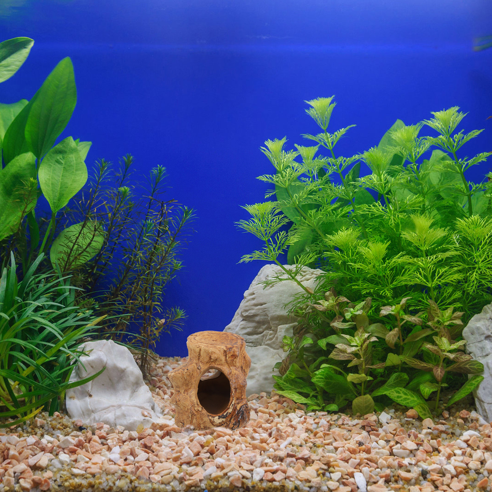 Aquarium Fish House Ceramic Ca - Hide Cave Ceramic 리뷰 및 가격