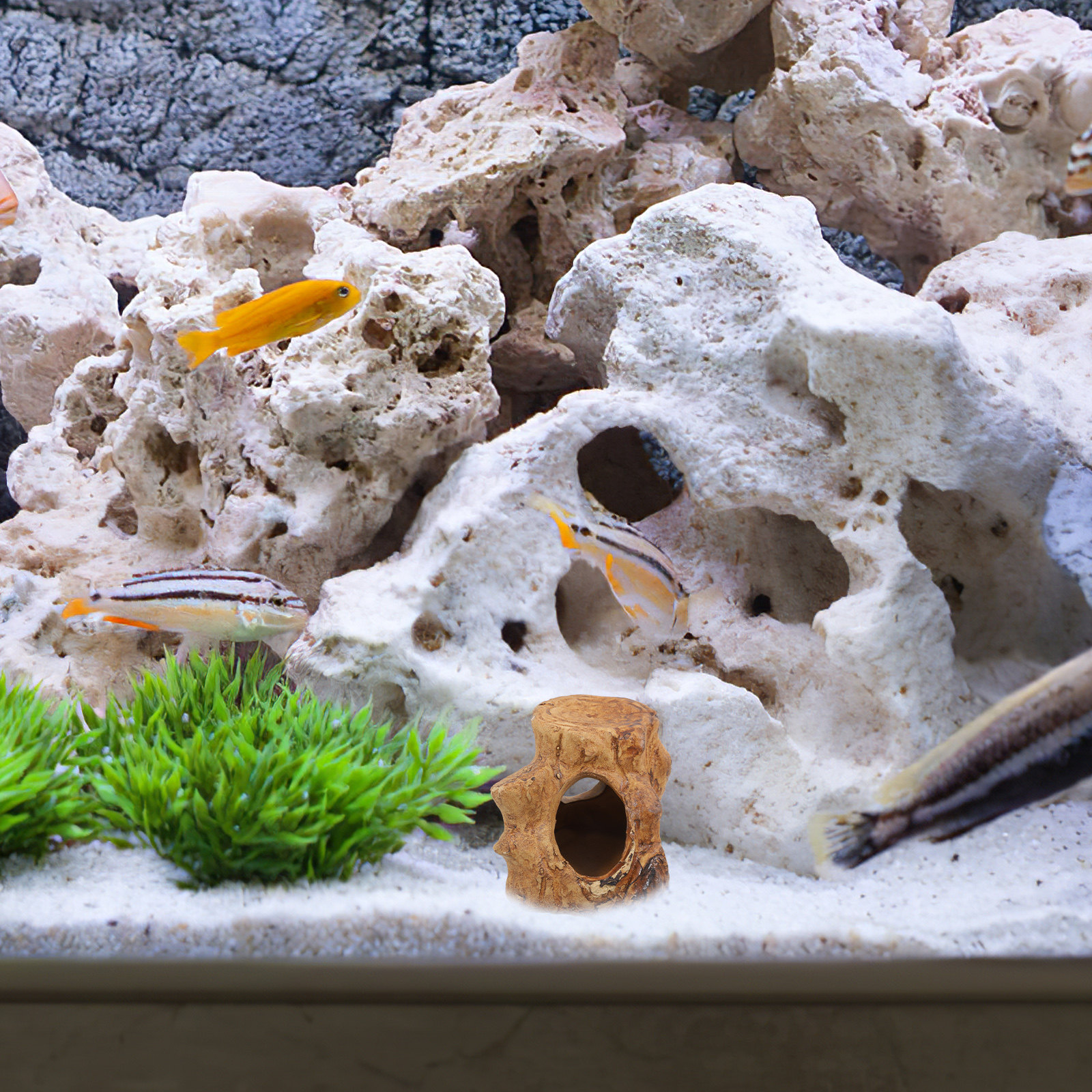 Aquarium Fish House Ceramic Ca - Hide Cave Ceramic 리뷰 및 가격