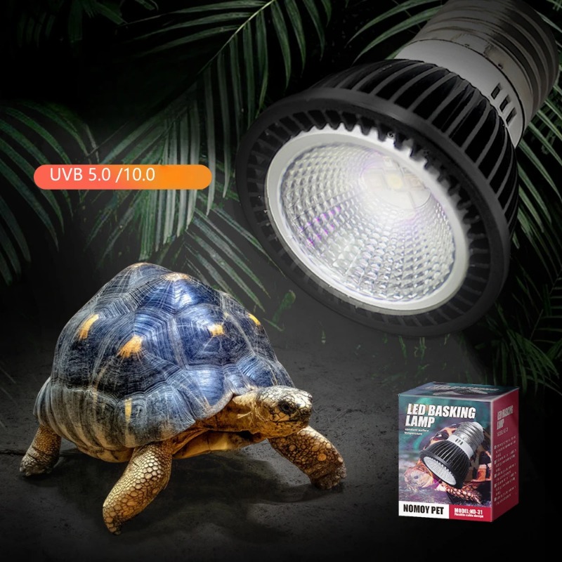 NOMOY Reptile 110/220V UVB+UVA - Calcium Powder Reptile 리뷰 및 가격