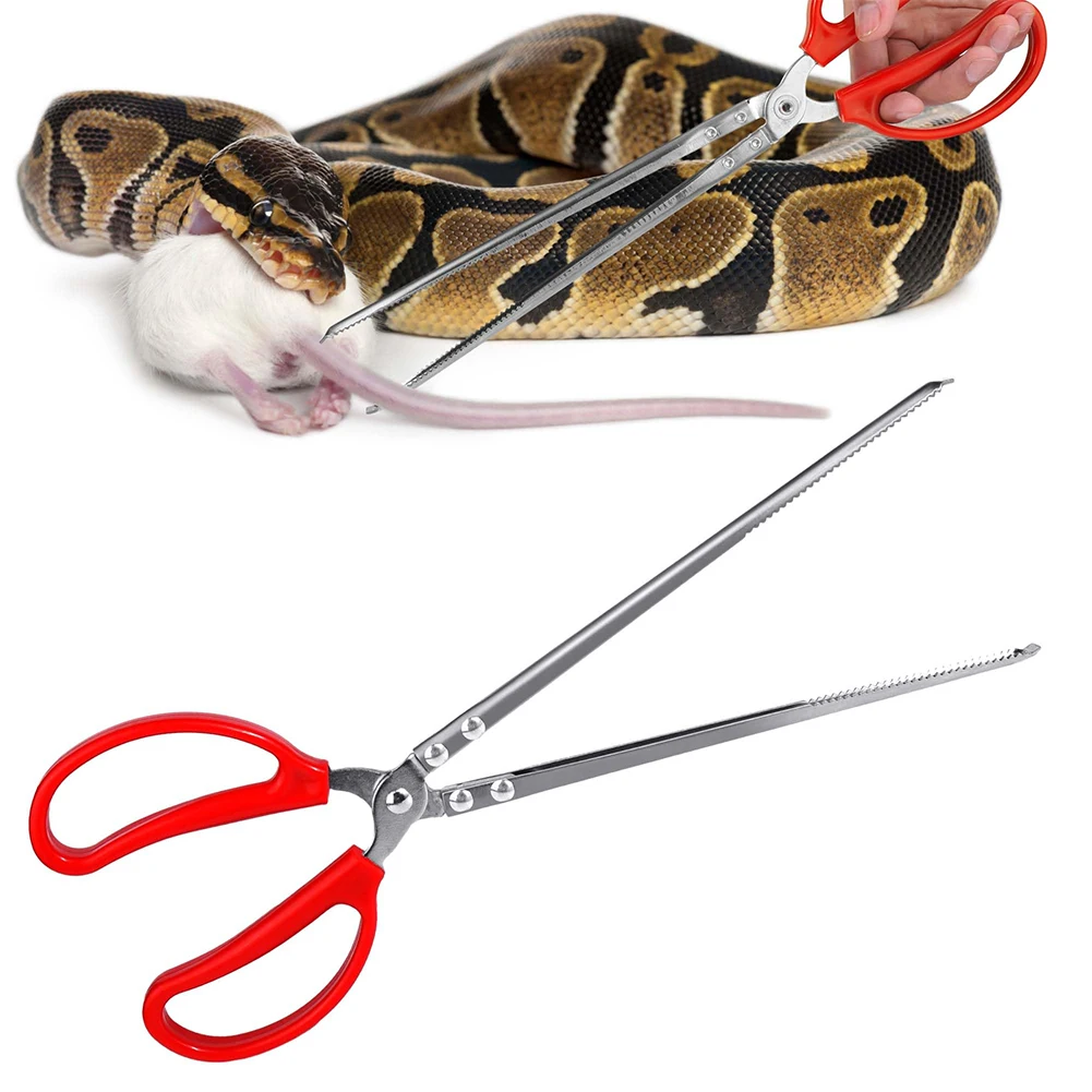 Snake Feeding Tongs Reptile Fe - Water Dish Reptile 리뷰 및 가격