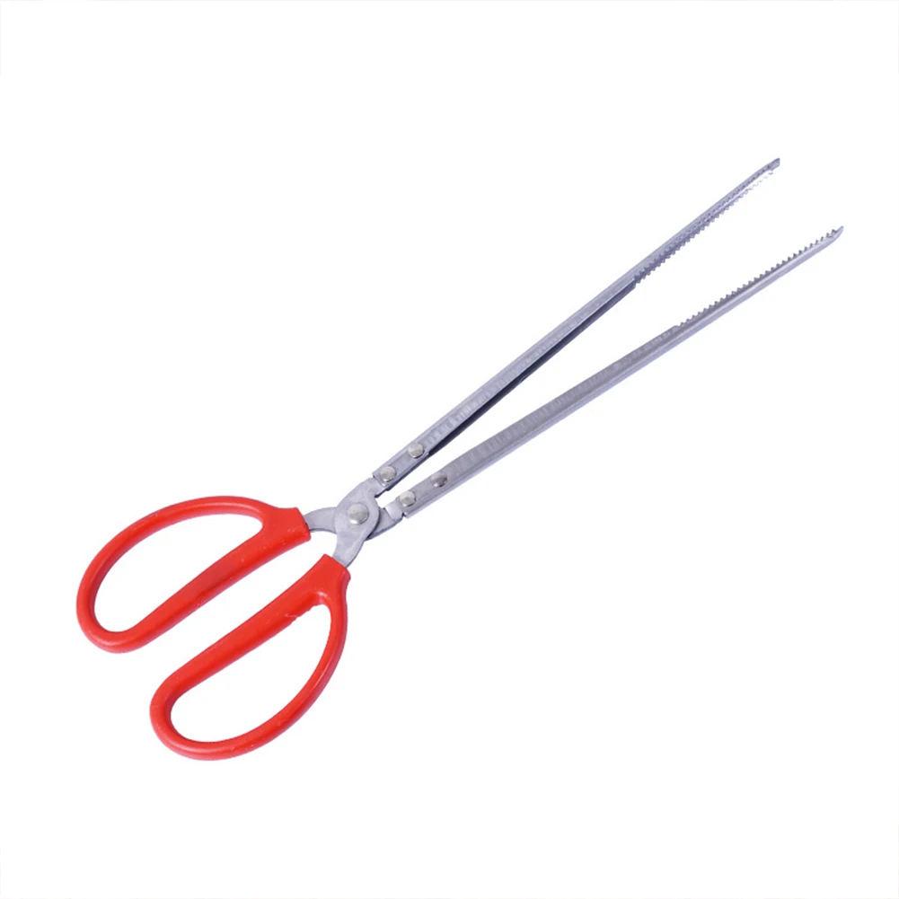 Snake Feeding Tongs Reptile Fe - Water Dish Reptile 리뷰 및 가격