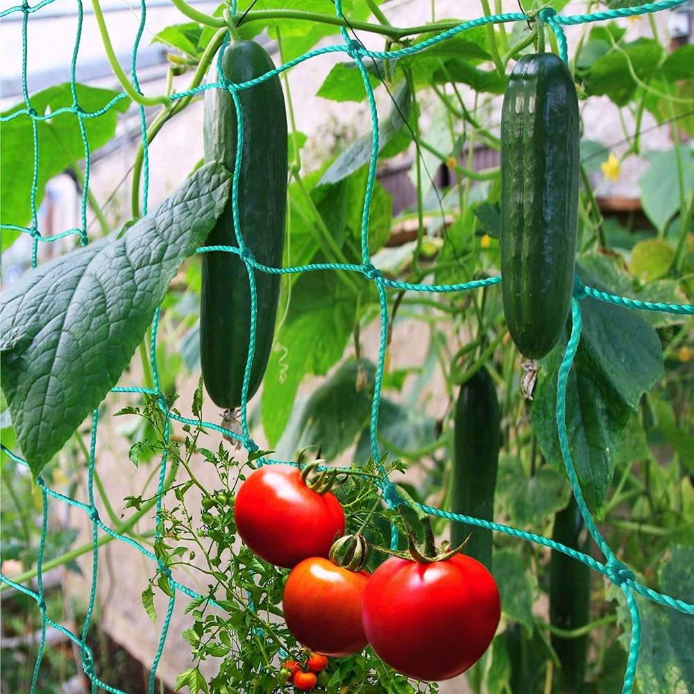 1pc Trellis Netting, Portable  - Vine Climbing Plastic 리뷰 및 가격