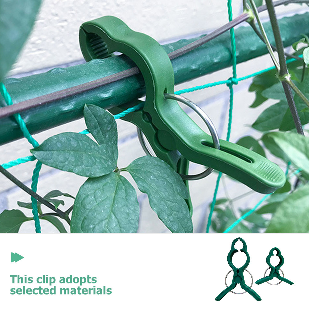 50Pcs Plant Support Clips Plas - Vine Climbing Plastic 리뷰 및 가격
