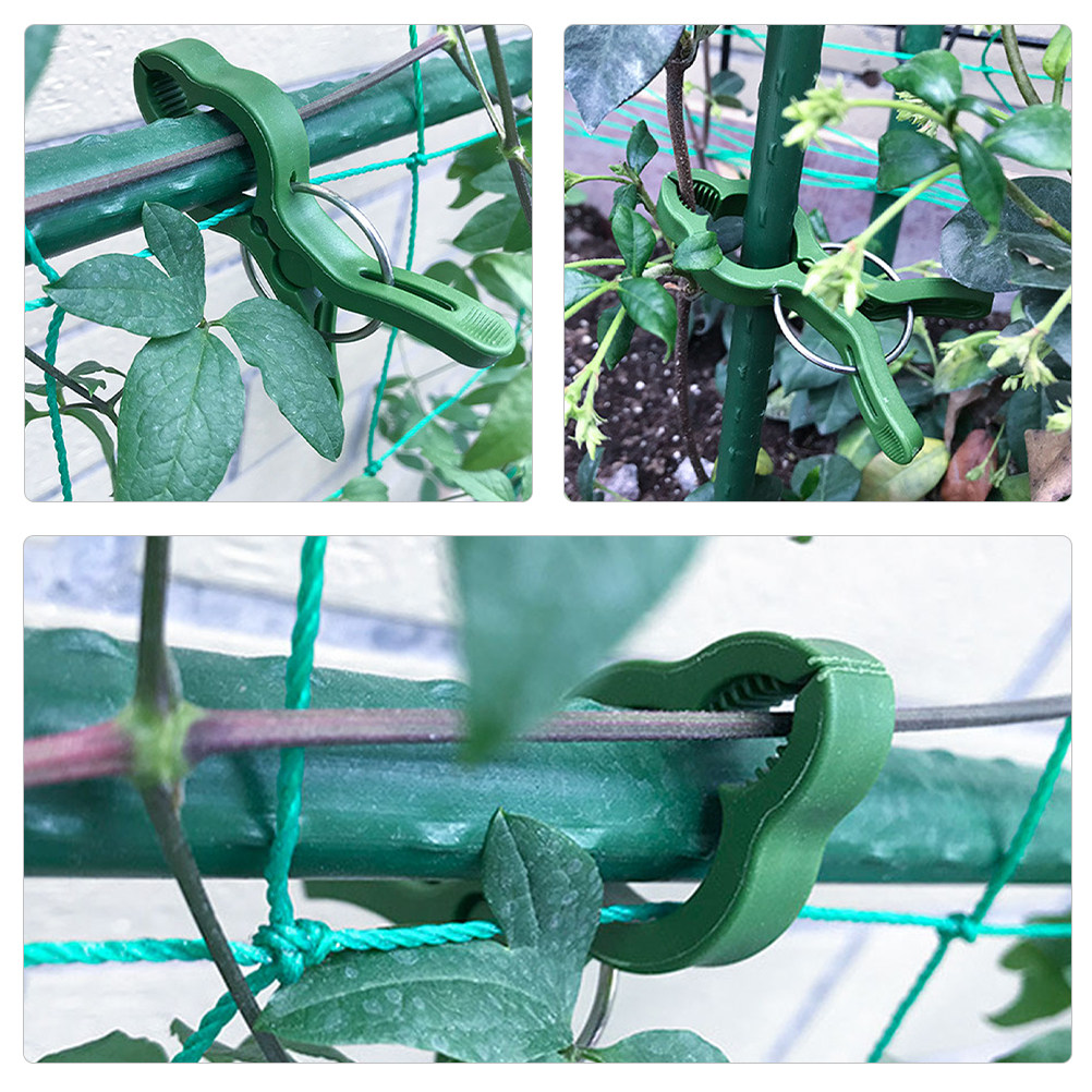50Pcs Plant Support Clips Plas - Vine Climbing Plastic 리뷰 및 가격