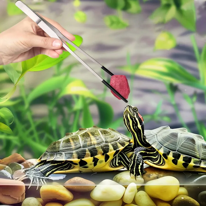 2Pcs Stainless Steel Tweezers  - Water Dish Reptile 리뷰 및 가격