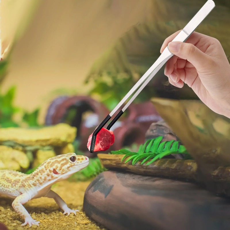 2Pcs Stainless Steel Tweezers  - Water Dish Reptile 리뷰 및 가격