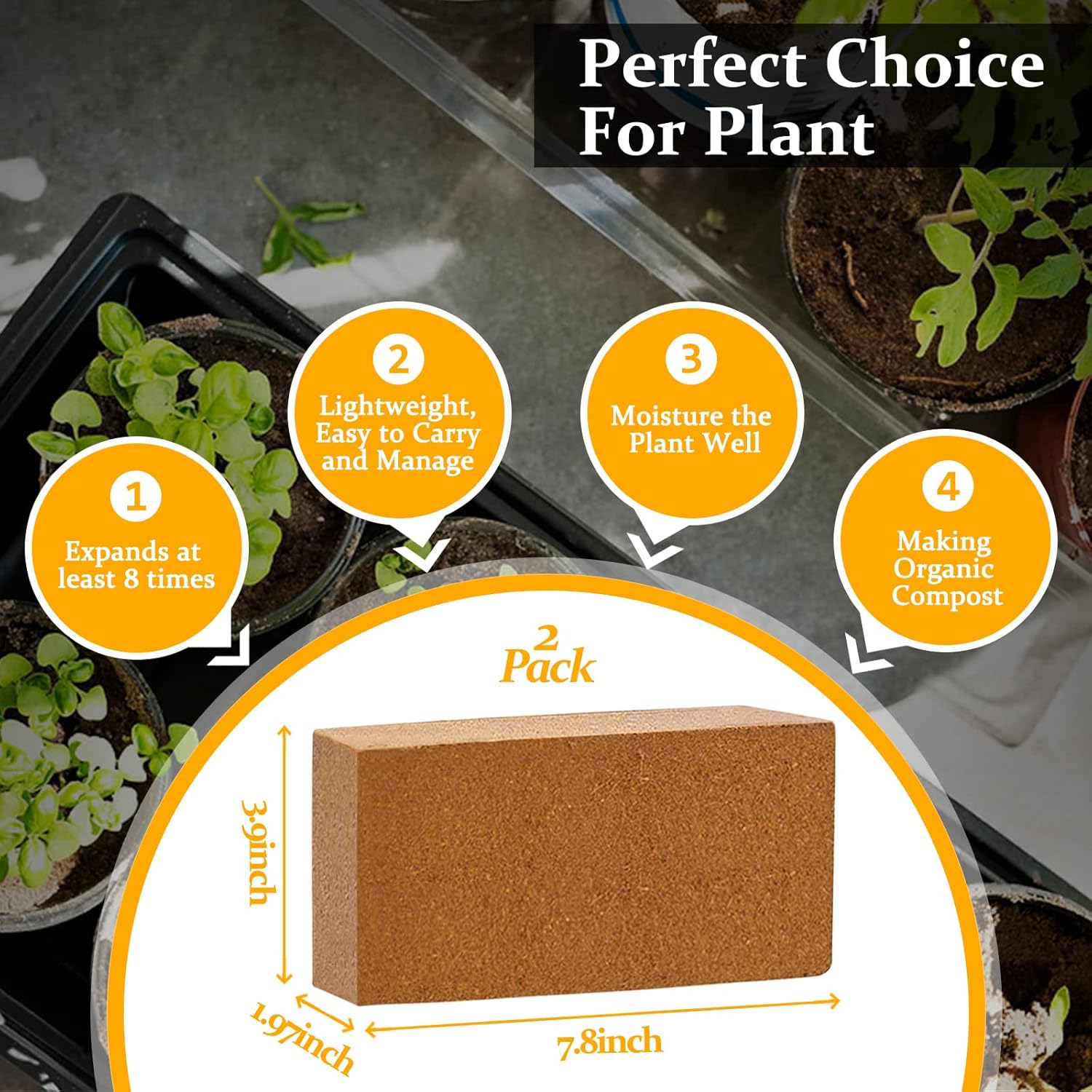 2pcs Organic Coco Coir Bricks  - Substrate Coconut Fiber 리뷰 및 가격
