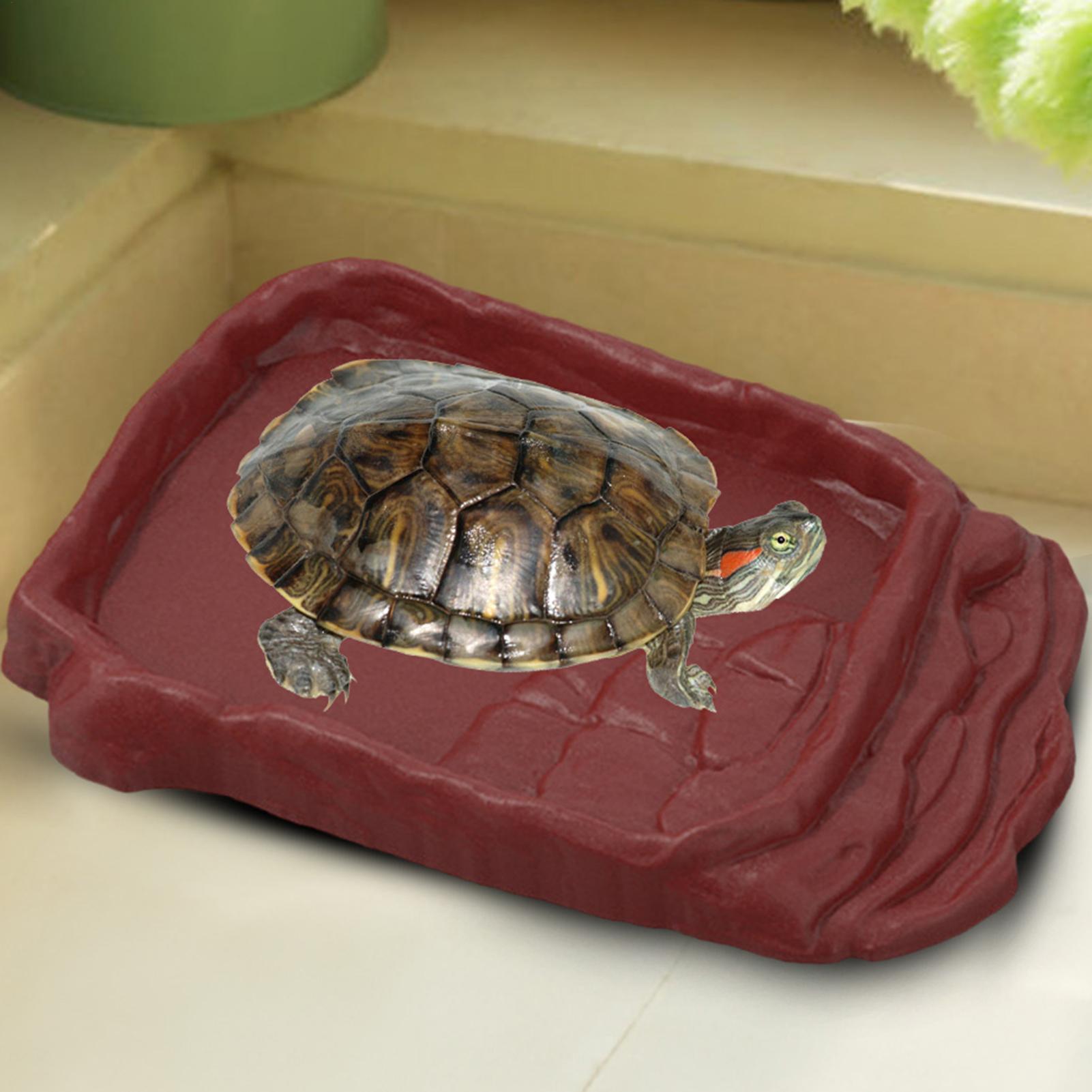 Anti-Slip Ladders Reptile Bowl - Water Dish Reptile 리뷰 및 가격