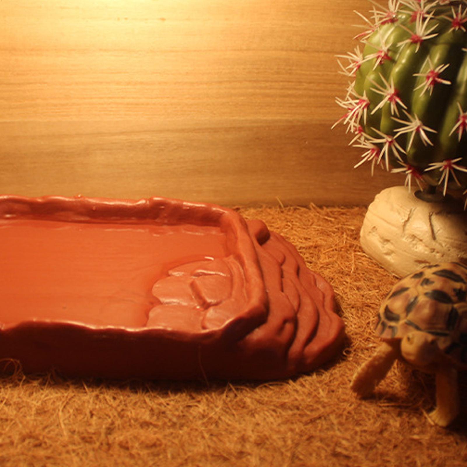 Anti-Slip Ladders Reptile Bowl - Water Dish Reptile 리뷰 및 가격