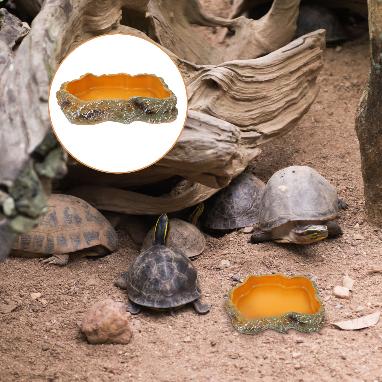 Reptile Food Basin Natural Col - Water Dish Reptile 리뷰 및 가격