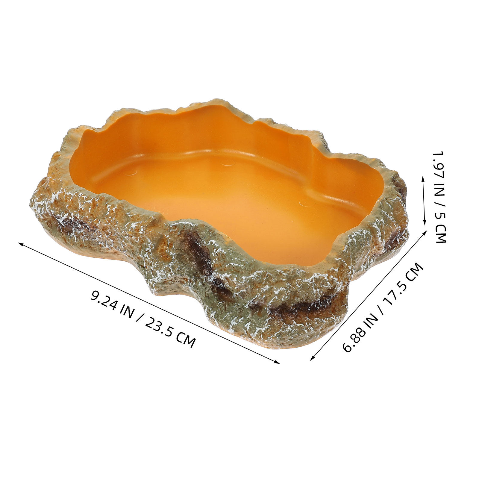 Reptile Food Basin Natural Col - Water Dish Reptile 리뷰 및 가격