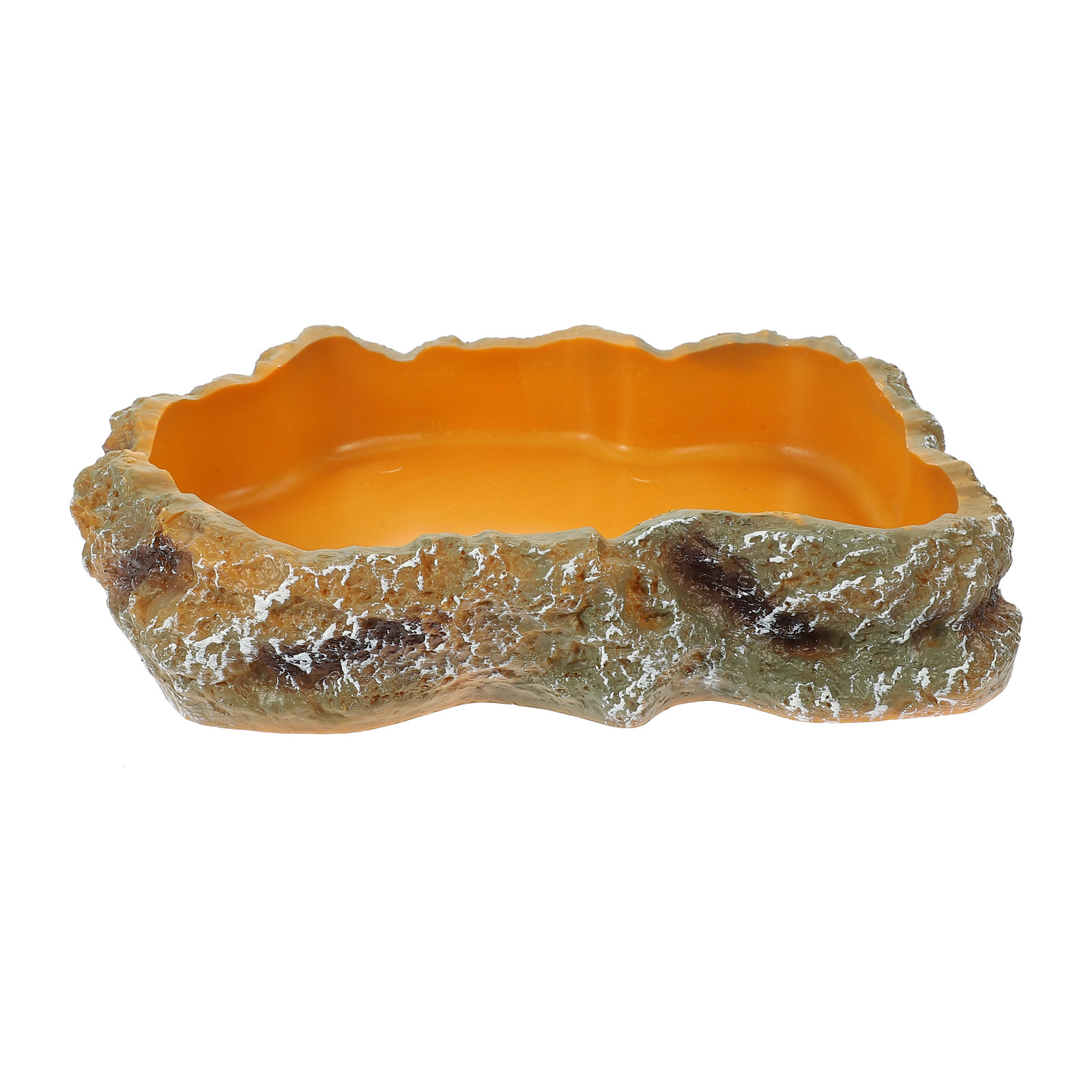 Reptile Food Basin Natural Col - Water Dish Reptile 리뷰 및 가격